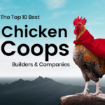 10 Best Custom Chicken Coop Builders & Companies
